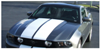 2010-12 Mustang Lemans Racing Stripes - Tapered - Hardtop - Low Wing - No Scoop